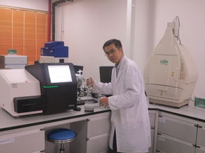 公共技术服务中心技术开发人员队伍建设 构建数字时代的创新引擎